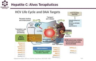 Hepatite C: Alvos Terapêuticos
 