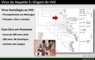Quan P - PNAS - 2013 
Barbosa AN, 2014 
Vírus Homólogos ao VHC 
- Principalmente em Morcegos 
- Primatas, Cães e Cavalos 
Caso Zero em Humanos 
- Cerca de 400 anos atrás 
- 200 anos: 06 Genótipos 
- Contato com sangue 
 