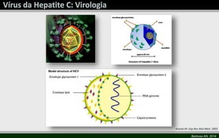 Anzola M- Exp Rev Mol Med- 2003 
Barbosa AN, 2014 
 