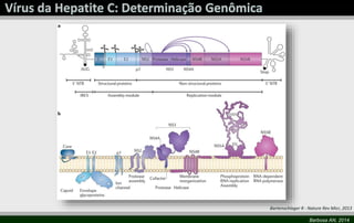 Bartenschlager R - Nature Rev Micr, 2013 
Barbosa AN, 2014 
 