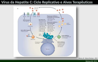 Manns, M - Nature Reviews - 2013 
Barbosa AN, 2014 
 