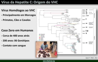 Quan P - PNAS - 2013
Vírus Homólogos ao VHC
- Principalmente em Morcegos
- Primatas, Cães e Cavalos
Caso Zero em Humanos
- Cerca de 400 anos atrás
- 200 anos: 06 Genótipos
- Contato com sangue
 