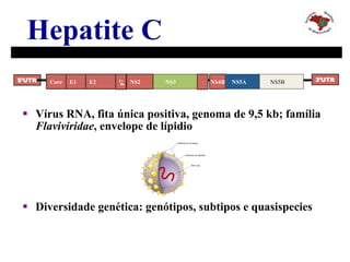 Hepatite C
§  Vírus RNA, fita única positiva, genoma de 9,5 kb; família
Flaviviridae, envelope de lípidio
§  Diversidade genética: genótipos, subtipos e quasispecies
3’UTR5’UTR Core E1 E2 NS2 NS4BNS3 NS5A NS5B
p7
 