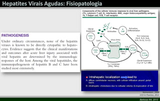 Namankani , 2008
CCO In Practice, 2013
Barbosa AN, 2013

 