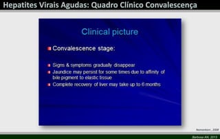 Namankani , 2008
Barbosa AN, 2013

 