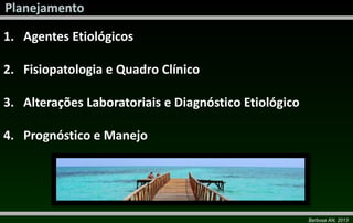 1. Agentes Etiológicos
2. Fisiopatologia e Quadro Clínico
3. Alterações Laboratoriais e Diagnóstico Etiológico
4. Prognóstico e Manejo

Barbosa AN, 2013

 