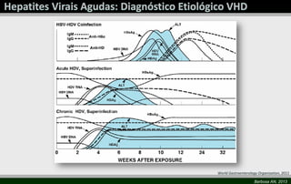 World Gastroenterology Organisation, 2011
Barbosa AN, 2013

 