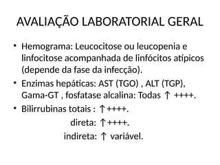AVALIAÇÃO LABORATORIAL GERAL
• Hemograma: Leucocitose ou leucopenia e
linfocitose acompanhada de linfócitos atípicos
(depende da fase da infecção).
• Enzimas hepáticas: AST (TGO) , ALT (TGP),
Gama-GT , fosfatase alcalina: Todas ↑ ++++.
• Bilirrubinas totais : ↑++++.
direta: ↑++++.
indireta: ↑ variável.
 