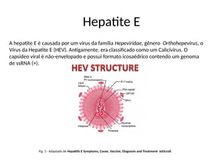 Hepatite E
A hepatite E é causada por um vírus da família Hepeviridae, gênero Orthohepevirus, o
Vírus da Hepatite E (HEV). Antigamente, era classificado como um Calicívirus. O
capsídeo viral é não-envelopado e possui formato icosaédrico contendo um genoma
de ssRNA (+).
Fig. 1 - Adaptado de Hepatitis E Symptoms, Cause, Vaccine, Diagnosis and Treatment- JotScroll.
 