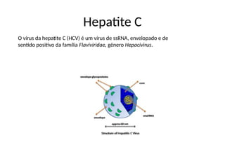 Hepatite C
O vírus da hepatite C (HCV) é um vírus de ssRNA, envelopado e de
sentido positivo da família Flaviviridae, gênero Hepacivirus.
 