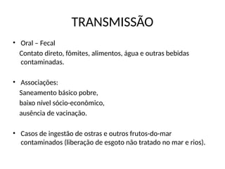 TRANSMISSÃO
• Oral – Fecal
Contato direto, fômites, alimentos, água e outras bebidas
contaminadas.
• Associações:
Saneamento básico pobre,
baixo nível sócio-econômico,
ausência de vacinação.
• Casos de ingestão de ostras e outros frutos-do-mar
contaminados (liberação de esgoto não tratado no mar e rios).
 