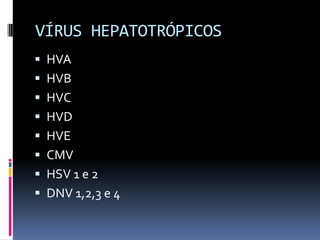 VÍRUS HEPATOTRÓPICOS
 HVA
 HVB
 HVC
 HVD
 HVE
 CMV
 HSV 1 e 2
 DNV 1,2,3 e 4
 