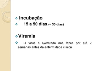  Incubação
 15 a 50 dias (≈ 30 dias)
Viremia
 O vírus é excretado nas fezes por até 2
semanas antes da enfermidade clinica
 