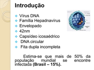 Introdução
 Vírus DNA
 Família Hepadnavírus
 Envelopado
 42nm
 Capsídeo icosaédrico
 DNA circular
 Fita dupla incompleta
Estima-se que mais de 50% da
população mundial se encontre
infectada (Brasil – 15%).
 