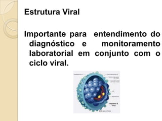 Estrutura Viral
Importante para entendimento do
diagnóstico e monitoramento
laboratorial em conjunto com o
ciclo viral.
 