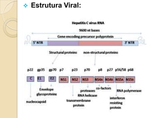  Estrutura Viral:
 