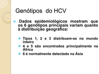 Genótipos do HCV
 Dados epidemiológicos mostram que
os 6 genótipos principais variam quanto
à distribuição geográfica:
 Tipos 1, 2 e 3 distribuem-se no mundo
inteiro
 4 e 5 são encontrados principalmente na
África
 6 é normalmente detectado na Ásia
 