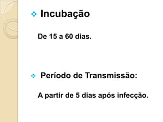  Incubação
De 15 a 60 dias.
 Período de Transmissão:
A partir de 5 dias após infecção.
 