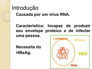Introdução
Causada por um vírus RNA.
Característica: Incapaz de produzir
seu envelope proteico e de infectar
uma pessoa.
Necessita do
HBsAg. HDV
HBsAg
RNA
antígeno
 