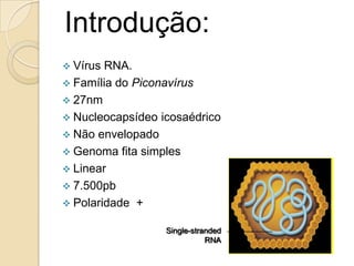 Introdução:
 Vírus RNA.
 Família do Piconavírus
 27nm
 Nucleocapsídeo icosaédrico
 Não envelopado
 Genoma fita simples
 Linear
 7.500pb
 Polaridade +
Single-stranded
RNA
 