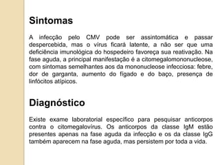 Sintomas
A infecção pelo CMV pode ser assintomática e passar
despercebida, mas o vírus ficará latente, a não ser que uma
deficiência imunológica do hospedeiro favoreça sua reativação. Na
fase aguda, a principal manifestação é a citomegalomononucleose,
com sintomas semelhantes aos da mononucleose infecciosa: febre,
dor de garganta, aumento do fígado e do baço, presença de
linfócitos atípicos.
Diagnóstico
Existe exame laboratorial específico para pesquisar anticorpos
contra o citomegalovírus. Os anticorpos da classe IgM estão
presentes apenas na fase aguda da infecção e os da classe IgG
também aparecem na fase aguda, mas persistem por toda a vida.
 