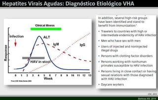 CDC, 2011 
Barbosa AN, 2014 
 