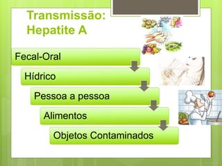 Transmissão:
Hepatite A
Fecal-Oral
Hídrico
Pessoa a pessoa
Alimentos
Objetos Contaminados
 