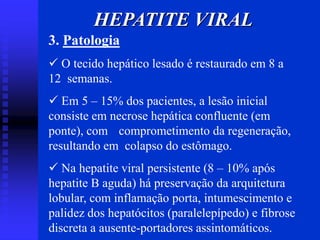 HEPATITE VIRAL
3. Patologia
 O tecido hepático lesado é restaurado em 8 a
12 semanas.
 Em 5 – 15% dos pacientes, a lesão inicial
consiste em necrose hepática confluente (em
ponte), com comprometimento da regeneração,
resultando em colapso do estômago.
 Na hepatite viral persistente (8 – 10% após
hepatite B aguda) há preservação da arquitetura
lobular, com inflamação porta, intumescimento e
palidez dos hepatócitos (paralelepípedo) e fibrose
discreta a ausente-portadores assintomáticos.
 