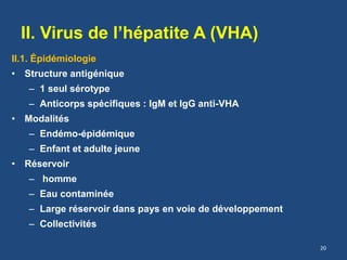 II. Virus de l’hépatite A (VHA)
II.1. Épidémiologie
• Structure antigénique
– 1 seul sérotype
– Anticorps spécifiques : IgM et IgG anti-VHA
• Modalités
– Endémo-épidémique
– Enfant et adulte jeune
• Réservoir
– homme
– Eau contaminée
– Large réservoir dans pays en voie de développement
– Collectivités
20
 