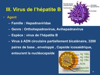 III. Virus de l’hépatite B (VHB)
• Agent
– Famille : Hepadnaviridae
– Genre : Orthohepadnavirus, Avihepadnavirus
– Espèce : virus de l’hépatite B
– Virus à ADN circulaire partiellement bicaténaire, 3200
paires de base , enveloppé , Capside icosaédrique,
entourant la nucléocapside
26
 