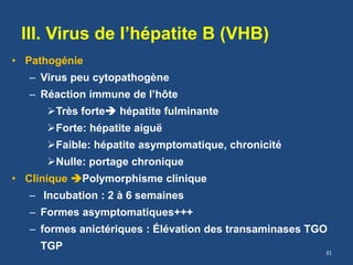 III. Virus de l’hépatite B (VHB)
• Pathogénie
– Virus peu cytopathogène
– Réaction immune de l’hôte
Très forte hépatite fulminante
Forte: hépatite aiguë
Faible: hépatite asymptomatique, chronicité
Nulle: portage chronique
• Clinique Polymorphisme clinique
– Incubation : 2 à 6 semaines
– Formes asymptomatiques+++
– formes anictériques : Élévation des transaminases TGO
TGP 31
 