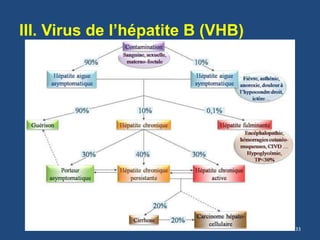 III. Virus de l’hépatite B (VHB)
33
 