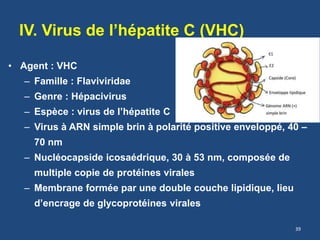 IV. Virus de l’hépatite C (VHC)
• Agent : VHC
– Famille : Flaviviridae
– Genre : Hépacivirus
– Espèce : virus de l’hépatite C
– Virus à ARN simple brin à polarité positive enveloppé, 40 –
70 nm
– Nucléocapside icosaédrique, 30 à 53 nm, composée de
multiple copie de protéines virales
– Membrane formée par une double couche lipidique, lieu
d’encrage de glycoprotéines virales
39
 