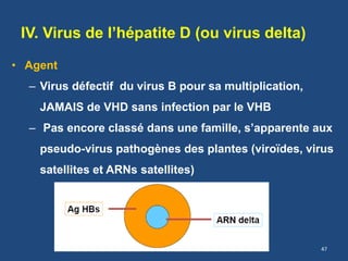 IV. Virus de l’hépatite D (ou virus delta)
• Agent
– Virus défectif du virus B pour sa multiplication,
JAMAIS de VHD sans infection par le VHB
– Pas encore classé dans une famille, s’apparente aux
pseudo-virus pathogènes des plantes (viroïdes, virus
satellites et ARNs satellites)
47
 