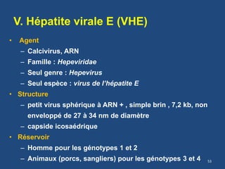 V. Hépatite virale E (VHE)
• Agent
– Calcivirus, ARN
– Famille : Hepeviridae
– Seul genre : Hepevirus
– Seul espèce : virus de l’hépatite E
• Structure
– petit virus sphérique à ARN + , simple brin , 7,2 kb, non
enveloppé de 27 à 34 nm de diamètre
– capside icosaédrique
• Réservoir
– Homme pour les génotypes 1 et 2
– Animaux (porcs, sangliers) pour les génotypes 3 et 4 53
 