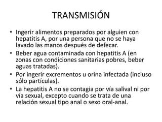 TRANSMISIÓN
• Ingerir alimentos preparados por alguien con
hepatitis A, por una persona que no se haya
lavado las manos después de defecar.
• Beber agua contaminada con hepatitis A (en
zonas con condiciones sanitarias pobres, beber
aguas tratadas).
• Por ingerir excrementos u orina infectada (incluso
sólo partículas).
• La hepatitis A no se contagia por vía salival ni por
vía sexual, excepto cuando se trata de una
relación sexual tipo anal o sexo oral-anal.

 