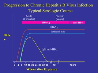 IgM anti-HBc
Total anti-HBc
HBsAg
Acute
(6 months)
HBeAg
Chronic
(Years)
anti-HBe
0 4 8 12 16 20 24 28 32 36 52 Years
Weeks after Exposure
Titr
e
Progression to Chronic Hepatitis B Virus Infection
Typical Serologic Course
 