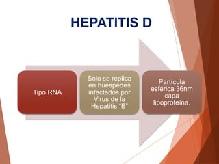 Tipo RNA
Sólo se replica
en huéspedes
infectados por
Virus de la
Hepatitis “B”
Partícula
esférica 36nm
capa
lipoproteína.
HEPATITIS D
 