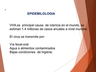 •
EPIDEMILOLOGIA
VHA es principal causa de ictericia en el mundo, se
estiman 1.4 millones de casos anuales a nivel mundial.
El virus se transmite por:
Vía fecal-oral
Agua o alimentos contaminados
Bajas condiciones de higiene.
 