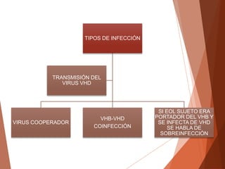 TIPOS DE INFECCIÓN
VIRUS COOPERADOR
VHB-VHD
COINFECCIÓN
SI EOL SUJETO ERA
PORTADOR DEL VHB Y
SE INFECTA DE VHD
SE HABLA DE
SOBREINFECCIÓN
TRANSMISIÓN DEL
VIRUS VHD
 