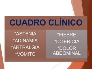 CUADRO CLÍNICO
*ASTENIA
*ADINAMIA
*ARTRALGIA
*VÓMITO
*FIEBRE
*ICTERICIA
*DOLOR
ABDOMINAL
 
