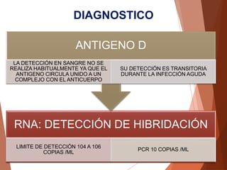 DIAGNOSTICO
RNA: DETECCIÓN DE HIBRIDACIÓN
LIMITE DE DETECCIÓN 104 A 106
COPIAS /ML
PCR 10 COPIAS /ML
ANTIGENO D
LA DETECCIÓN EN SANGRE NO SE
REALIZA HABITUALMENTE YA QUE EL
ANTIGENO CIRCULA UNIDO A UN
COMPLEJO CON EL ANTICUERPO
SU DETECCIÓN ES TRANSITORIA
DURANTE LA INFECCIÓN AGUDA
 