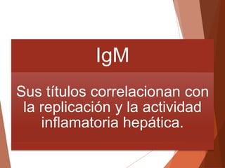 IgM
Sus títulos correlacionan con
la replicación y la actividad
inflamatoria hepática.
 