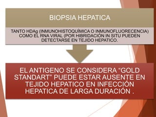 EL ANTIGENO SE CONSIDERA “GOLD
STANDART” PUEDE ESTAR AUSENTE EN
TEJIDO HEPATICO EN INFECCIÓN
HEPATICA DE LARGA DURACIÓN .
BIOPSIA HEPATICA
TANTO HDAg (INMUNOHISTOQUÍMICA O INMUNOFLUORECENCIA)
COMO EL RNA VIRAL (POR HIBRIDACIÓN IN SITU PUEDEN
DETECTARSE EN TEJIDO HEPATICO.
 