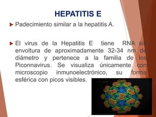 HEPATITIS E
 Padecimiento similar a la hepatitis A.
 El virus de la Hepatitis E tiene RNA sin
envoltura de aproximadamente 32-34 nm de
diámetro y pertenece a la familia de los
Piconnavirus. Se visualiza únicamente con
microscopio inmunoelectrónico, su forma
esférica con picos visibles.
 