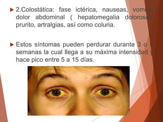  2.Colostática: fase ictérica, nauseas, vomito,
dolor abdominal ( hepatomegalia dolorosa),
prurito, artralgias, así como coluria.
 Estos síntomas pueden perdurar durante 3 o 4
semanas la cual llega a su máxima intensidad y
hace pico entre 5 a 15 días.
 