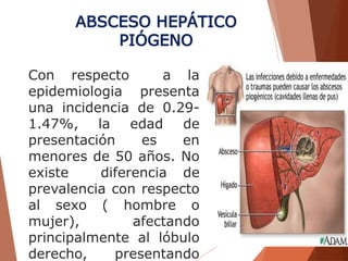 Con respecto a la
epidemiologia presenta
una incidencia de 0.29-
1.47%, la edad de
presentación es en
menores de 50 años. No
existe diferencia de
prevalencia con respecto
al sexo ( hombre o
mujer), afectando
principalmente al lóbulo
derecho, presentando
ABSCESO HEPÁTICO
PIÓGENO
 