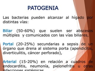 Las bacterias pueden alcanzar al hígado por
distintas vías:
Biliar (50-60%) que suelen ser abscesos
múltiples y comunicados con las vías biliares,
Portal (20-25%) secundarias a sepsis de un
órgano que drena al sistema porta (apendicitis,
diverticulitis, cáncer perforado),
Arterial (15-20%) en relación a cuadros de
endocarditis, neumonía, pielonefritis u otras
PATOGENIA
 