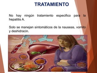 TRATAMIENTO
No hay ningún tratamiento especifico para la
hepatitis A.
Solo se manejan sintomáticos de la nauseas, vomito
y deshidracin.
 