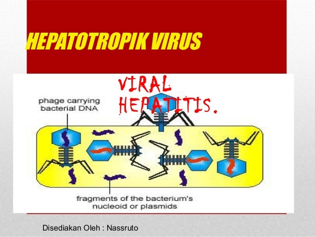 Hepatitis Hepatitis